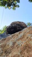 This close-up photo features a large, textured rock formation against a clear blue sky. The image captures the natural beauty and ruggedness of the outdoors.
