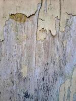 a weathered wooden surface with peeling white paint. The texture is rough and uneven, with visible cracks and chips photo