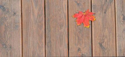 On a background of brown wooden planks decking, a red maple leaf lies photo