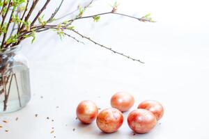 Five eggs on a white table. Easter light still life with spring twigs with delicate greens photo