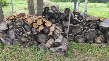 Gray logs of firewood stacked in two heaps, lying on the grass, in spring near a tree photo