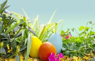 Three large multicolored wooden eggs are lying on a flower bed, among flowers and grass. photo