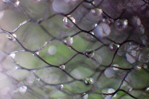 drops of water on a black mesh on a blurred green background. Abstract background photo