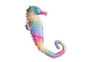 A figurine of a rainbow seahorse,isolated on white background photo