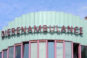 Billboard Dierenambulance Building Amsterdam The Netherlands 11-8-2021 photo