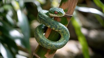 Serpent wrapped around bamboo, blending into greenery. photo
