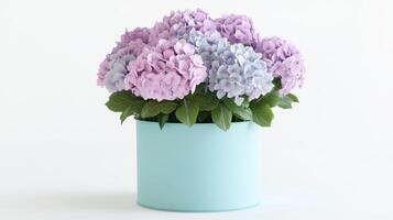 Bouquet of pastel hydrangeas in a blue container, ideal for decor or special occasions. photo
