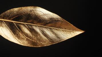 Close up view of a single gold leaf against a dark backdrop. photo