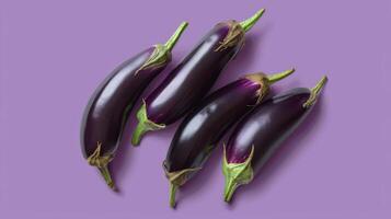 A Quartet of Eggplants Arranged on a Lavender Background photo