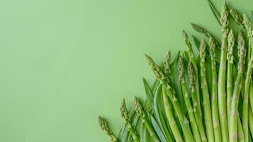 Fresh Asparagus Stalks Arranged in a Fan Shape on a Green Background photo