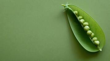 A Single Pea Pod Against A Lush Green Background photo