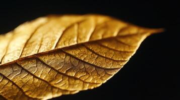 Close up view of a single gold leaf against a dark backdrop. photo