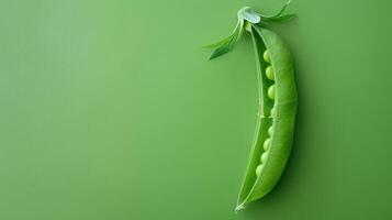 A Single Pea Pod Against a Lush Green Background photo
