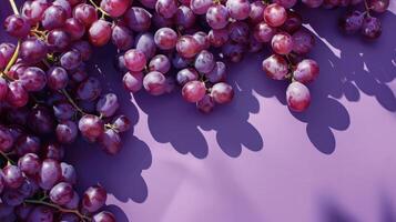 A Symphony of Purple Grapes Cast Long Shadows on a Lavender Canvas photo