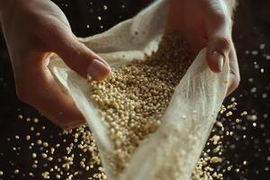 Hands pouring grains of quinoa from a cloth bag photo