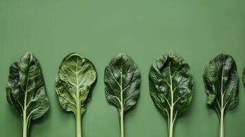 A Line of Vibrant Green Spinach Leaves on a Smooth, Verdant Surface photo