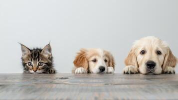 Curious Kitten and Two Puppies Peeking Over a Wooden Tabletop photo