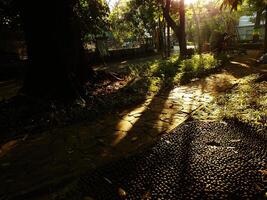 Morning in the city park with paths made of stones and. There are trees in the background and long shadows from the sunlight photo