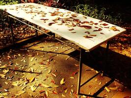 A table covered in leaves near the park on a sidewalk. The leaves are scattered all over the table and the ground photo