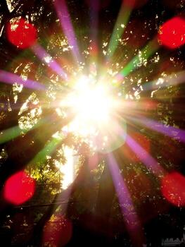 un brillante Dom es brillante mediante el árboles, fundición un vistoso brillo. el ligero es dispersado y difuso, creando un sentido de calor y tranquilidad foto