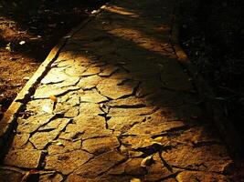 A path with a lot of cracks and leaves on it. The path is in the morning sun and the leaves are casting shadows photo