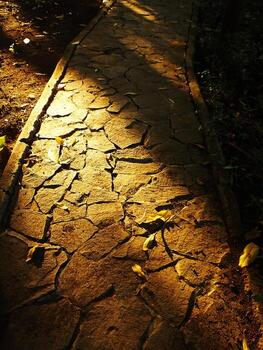un camino con un lote de grietas y hojas en él. el camino es en el Mañana Dom y el hojas son fundición oscuridad foto