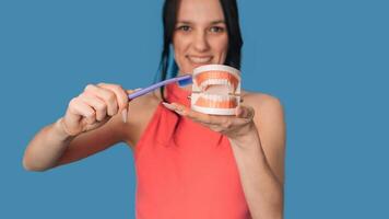 A smiling young woman with a jaw model and a toothbrush on a blue background. The concept of oral hygiene. Orthodontics. A panoramic image with a copy of the space. photo