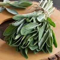 Fresh green sage leaves tied with twine on wooden board For Social Media Post Size photo