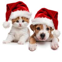 Kitten and puppy wear Santa hats, kitten curious, puppy peeks out playfully For Social Media Post Size photo