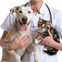 Veterinarian in white uniform cradles happy dog and curious kitten For Social Media Post Size photo