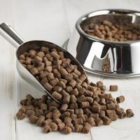 Scoop spills pet food pellets onto a white surface near a steel bowl For Social Media Post Size photo