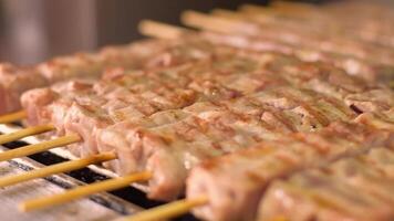 A close up of skewers on a grill video