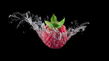 A looping rotation of raspberry in a splash of water. Slow cyclic rotation and movement around raspberry and water. File contains Alpha Channel. video