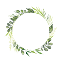 Watercolor round frame with green plants. Botanical frame with place for text and greenery, branches and leaves. Design for cards, invitations, congratulations, wedding invitations, save the date. png
