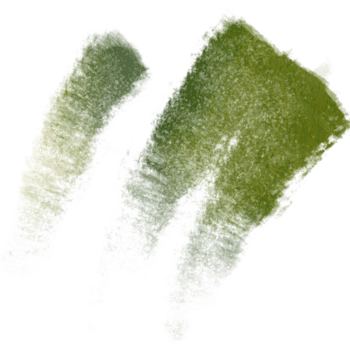 Grün Aquarell Bürste Schlaganfälle mischen in robust Fett gedruckt Hand gezeichnet Grunge inspiriert endet png