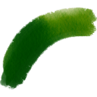 Green brush stroke merging rough textures into gentle watercolor gradients png