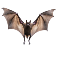 a bat flying on a transparent background png