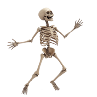 a skeleton is standing on a transparent background png
