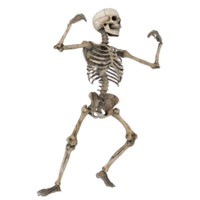 a skeleton is standing on a transparent background png