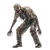 the walking dead zombie costume isolate on transparency background png