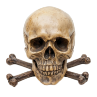 Skull and cross bones isolate on transparency background png