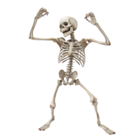 Skeleton dance isolate on transparency background png