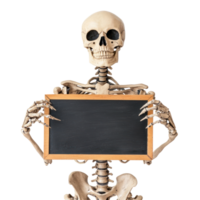 Skeleton holding sign board isolate on transparency background png