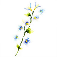 A flower with blue and white flowers on a black background png
