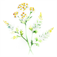 A flower with leaves and flowers on a black background png