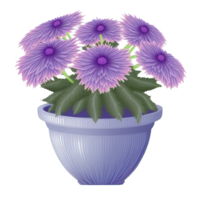 Elegant Potted Flower on a Clear Background. Sumptuous flora in a stylish pot, perfectly isolated for pristine presentation. png