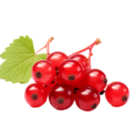 Currant fruit with a detailed full body displayed on a transparent background for a clear, unobstructed view. png