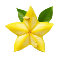 Whole star fruit isolated, clear background, vivid yellow-green skin, distinct ridges running down its length, fresh tropical produce. png