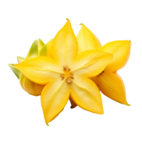 Star fruit with its entire shape visible, ripe and fresh, presented against a clear, transparent backdrop for versatility in design use. png