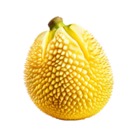 Illustration of a whole jackfruit, its spiky green exterior displayed, set against a clear transparent backdrop. png